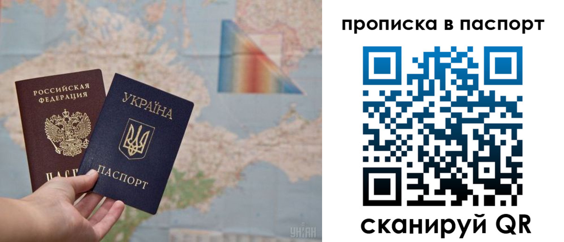 где прописаться в Коле