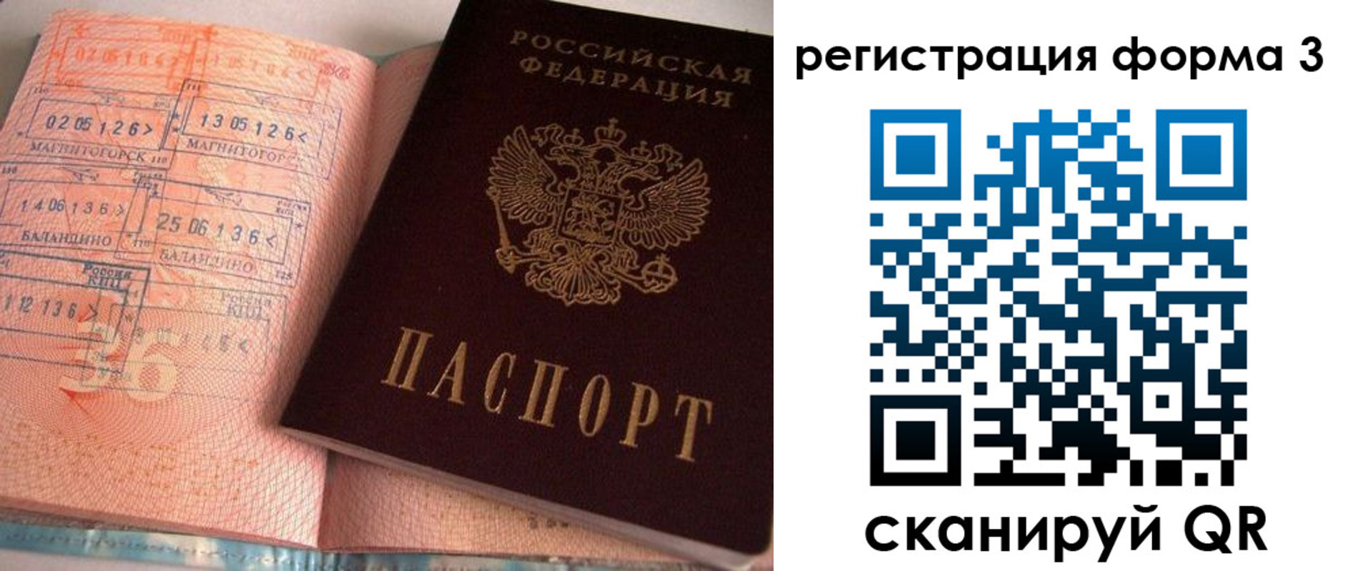 временная регистрация поиск в Коле